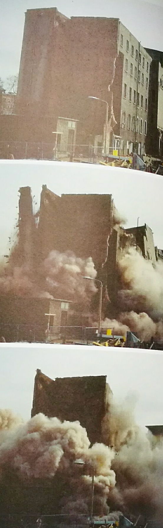 Allison Krupp American writer novelist